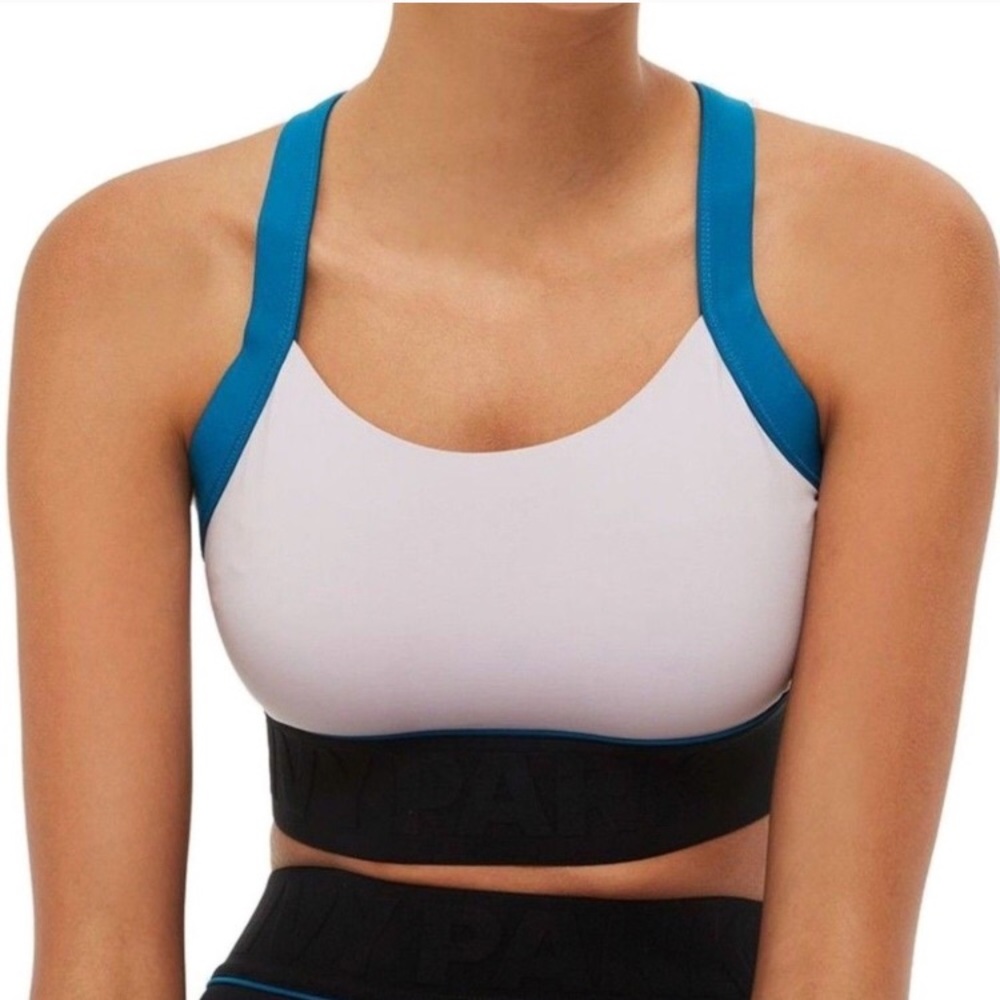Ivy park sports bra